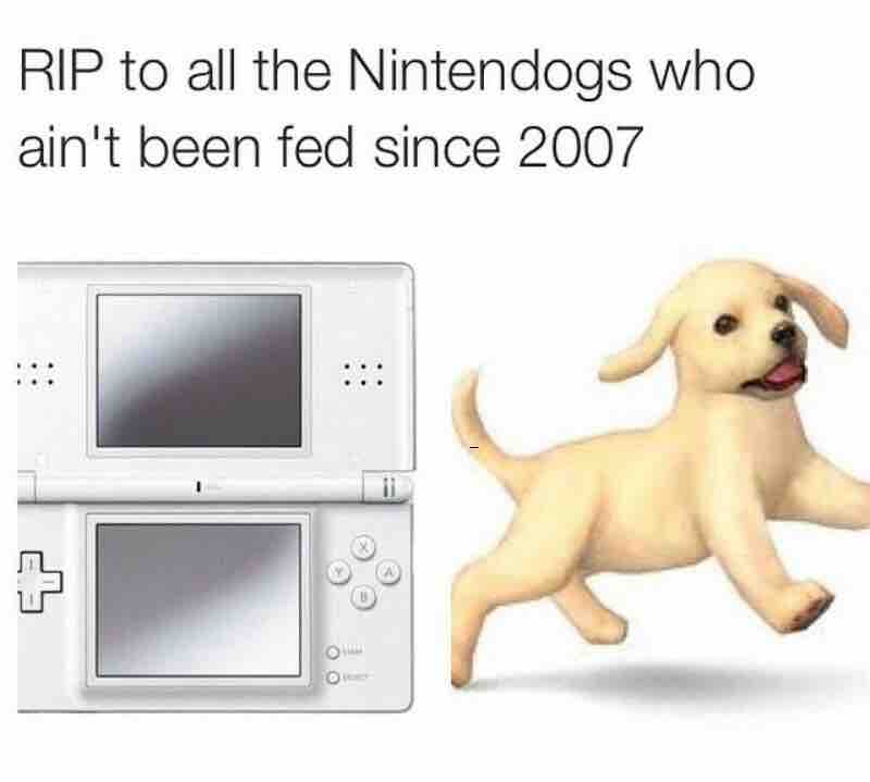 lYMDULP.jpg