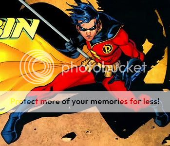 robin-1.jpg