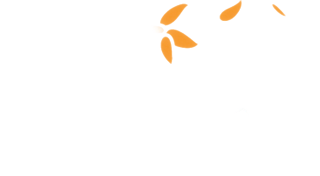 flower.png