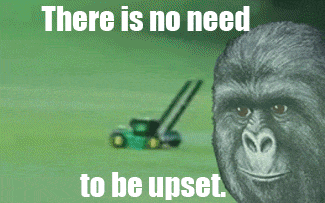 tumblr_mmaex8ary91qfrlpao1_400.gif