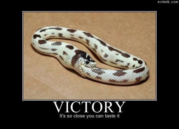 Victory.jpg