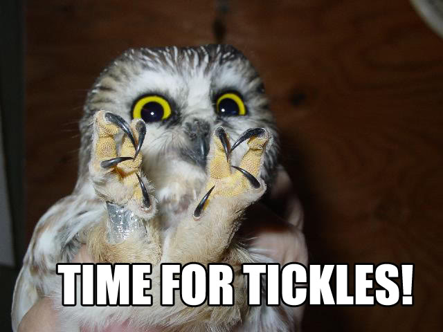 time4tickles.jpg