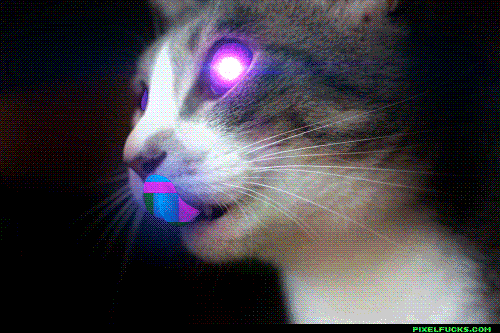 tumblr_mgiave6zvj1s3682fo1_r1_500.gif