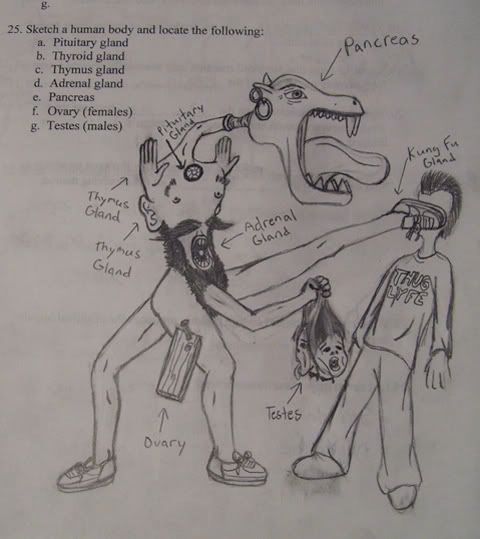 funny_exam_answers.jpg