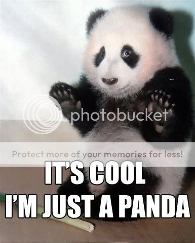 its_cool_panda.jpg