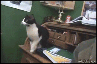 mm3Bf.gif