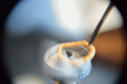 tumblr_mv75ljz2DO1qijtl7o1_500.gif