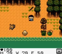 Survival_Kids_GBC_ScreenShot2.gif