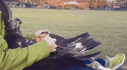 XNmeS9J.gif