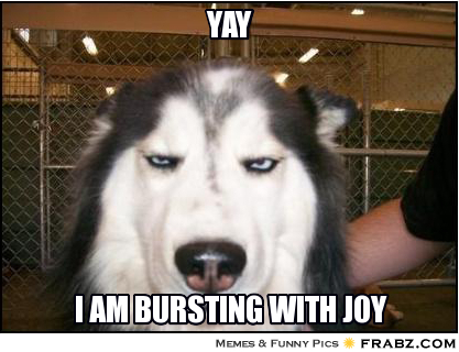 frabz-yay-i-am-bursting-with-joy-10aea3.jpg