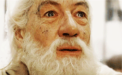5qhsBbr.gif.gif