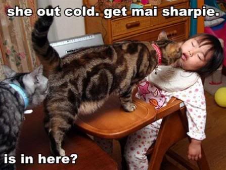 get-my-sharpie-funny-cats-lolcat.jpg