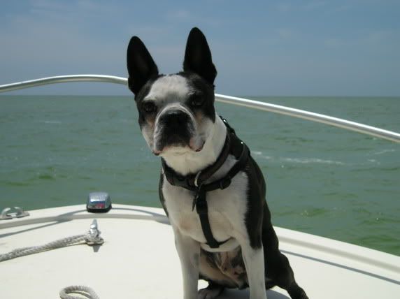 boat2.jpg