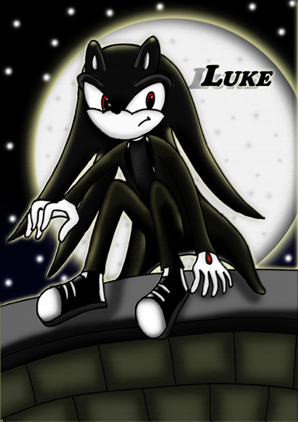 luke_the_hedgehog_by_robthehoopedchipmunk.png