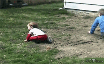 Dogs-collide-with-toddler.gif