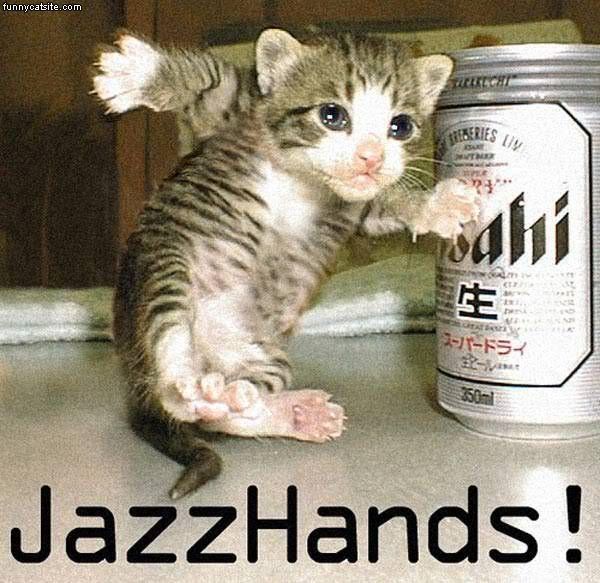 Jazz_Hands_Cat.jpg