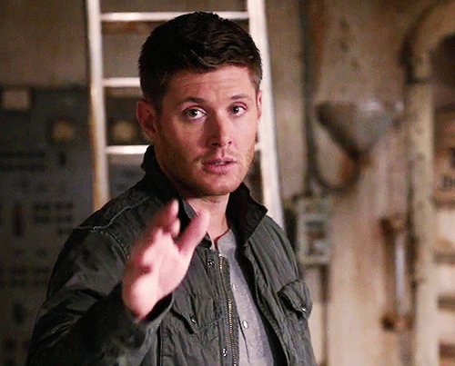 tumblr_mi7rw6vURV1rixwdqo1_500.gif