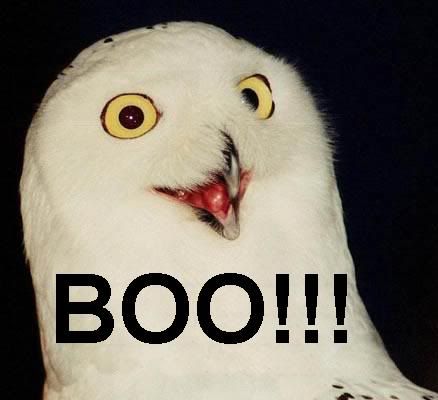 booowl.jpg