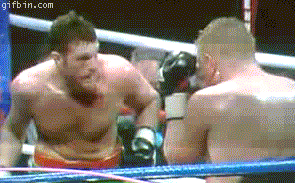 P5ZCR.gif