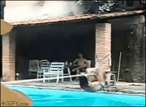 What-could-possibly-go-wrong.gif