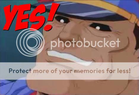 BisonYes.jpg