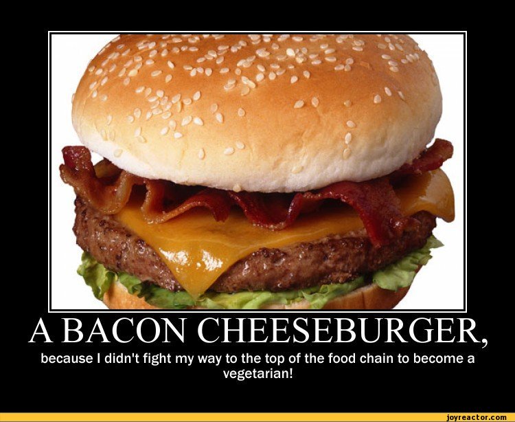 funny-pictures-auto-456742.jpeg