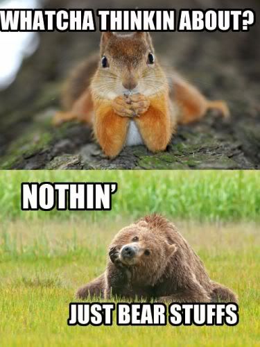 WhatchaThinkinAbout-Nothin-JustBearStuffs.jpg