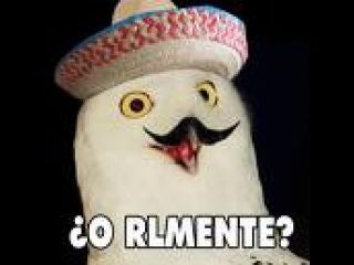 18rul9wfpct55jpg.jpg
