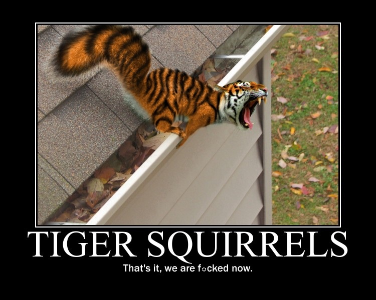 tiger-squirrel.jpg
