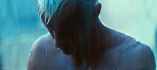 Hauer+GIF.jpg