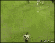 5exSH.gif