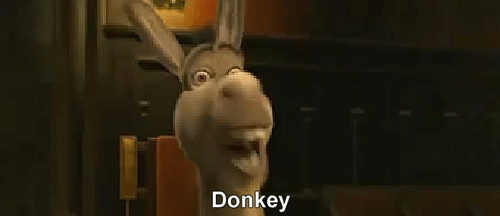 tumblr_mhd1ahjAWQ1qciw36o2_500.gif