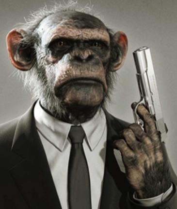 monkey-morality.jpg