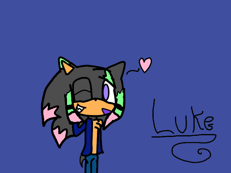 luke_the_hedgehog_by_ishiko_riolu-d4tvr3e.png