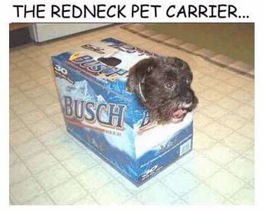 PetCarrierClip.jpg