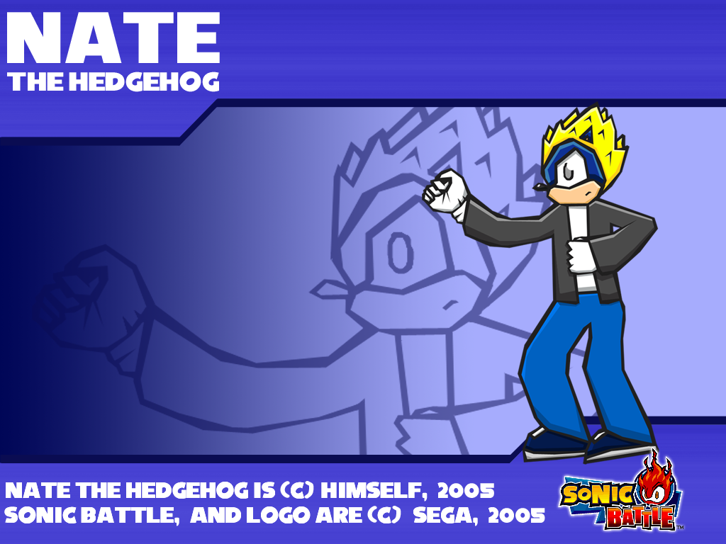 nate_the_hedgehog___sb_style_by_natethehedgehog.png