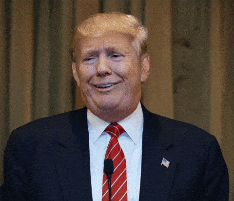 Trump-E05.gif