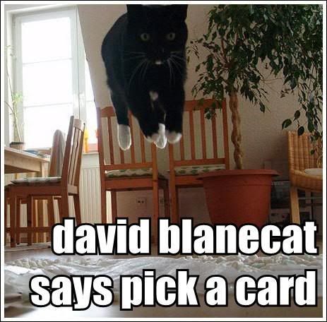 david-blanecat-says-pick-a-card.jpg