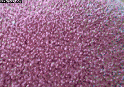 cJH5V.gif