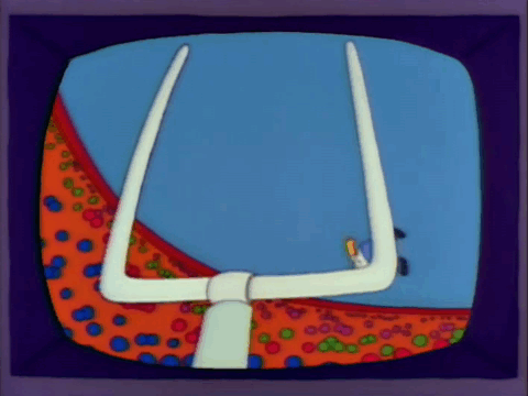 tumblr_ox8ix26Rpu1vbcnq8o1_500.gif