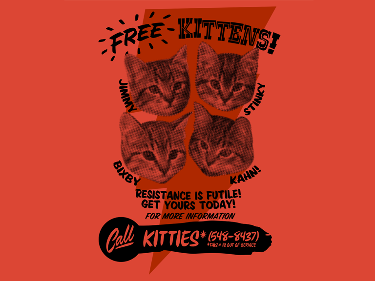 Kitty_Gratisjr1Detail.png