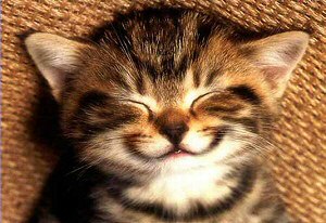 contented.jpg