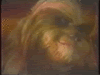 sw1.gif