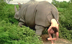 rhino-ace-ventura.gif