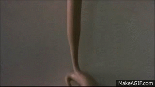WrwUPnT.gif