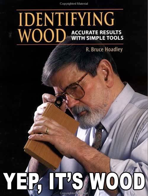 1238464439882.jpg