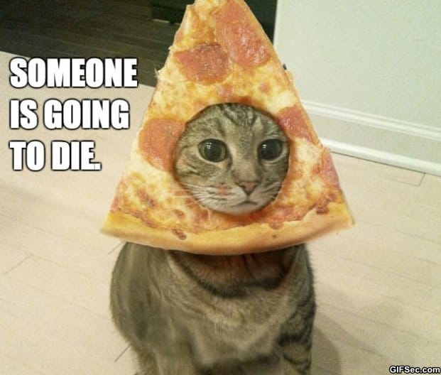 Funny-Pictures-2014-Pizza-Cat.jpg