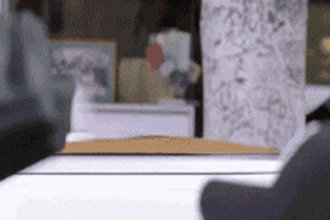 fiddykitty.gif