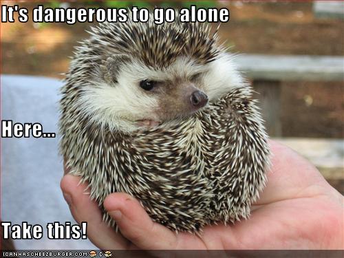 It__s_dangerous_to_go_alone_by_psudodrake.jpg