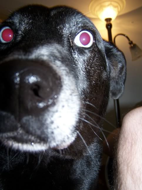 hellooooo.jpg